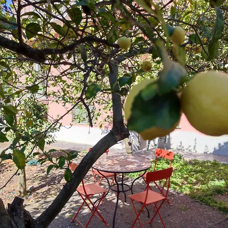 Daire With Private Garden